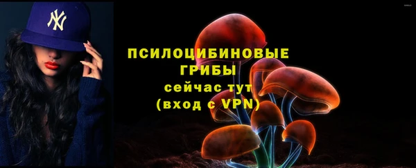 бошки Армянск
