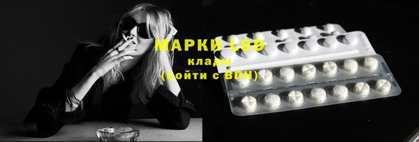 эйфоретик Арсеньев