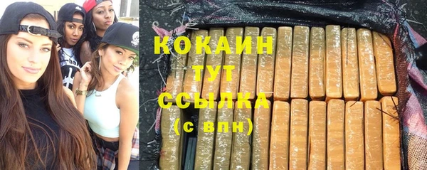 эйфоретик Арсеньев