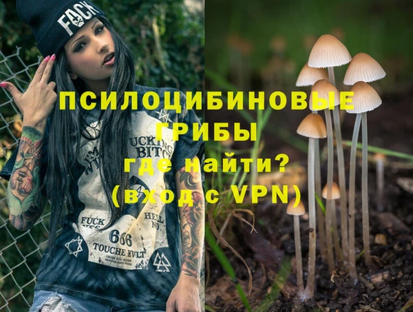 эйфоретик Арсеньев