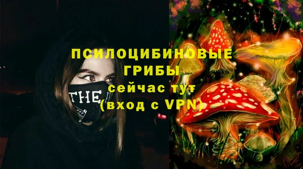 эйфоретик Арсеньев
