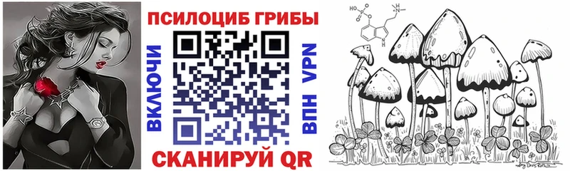 Галлюциногенные грибы Cubensis  Салаир 